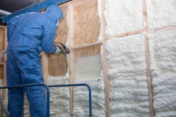 Types of Insulation We Offer in South Shore, KY